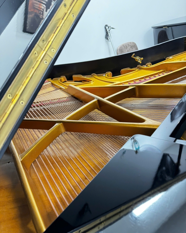 ĐÀN GRAND PIANO ATLAS AG-8