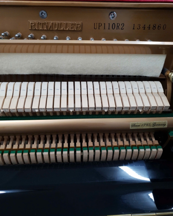 ĐÀN PIANO RITMIILER UP110R2