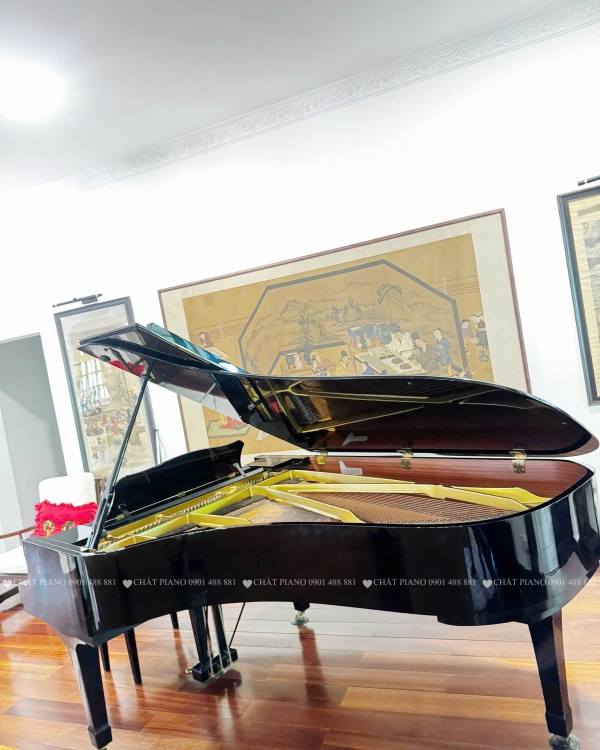 GRAND PIANO YAMAHA C7